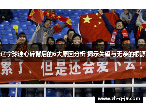 辽宁球迷心碎背后的6大原因分析 揭示失望与无奈的根源